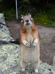 Cdn Rockies Adventure (Aug 2010) - Lake OHara - 025
